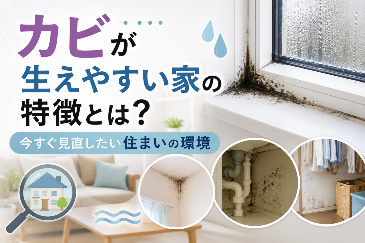カビが生えやすい家の特徴とは？今すぐ見直したい住まいの環境