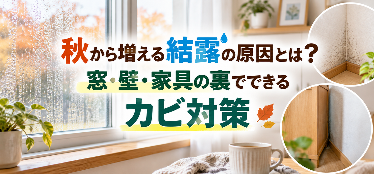秋から増える結露の原因とは？窓・壁・家具の裏でできるカビ対策