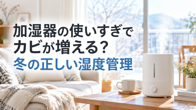 加湿器の使いすぎでカビが増える？冬の正しい湿度管理と結露対策